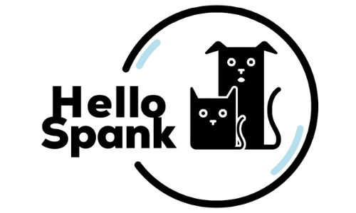 logo hello spank di bernini lucia