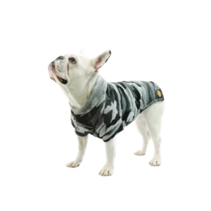 Cappotto-di-maglia-per-bulldog-francesecarlino