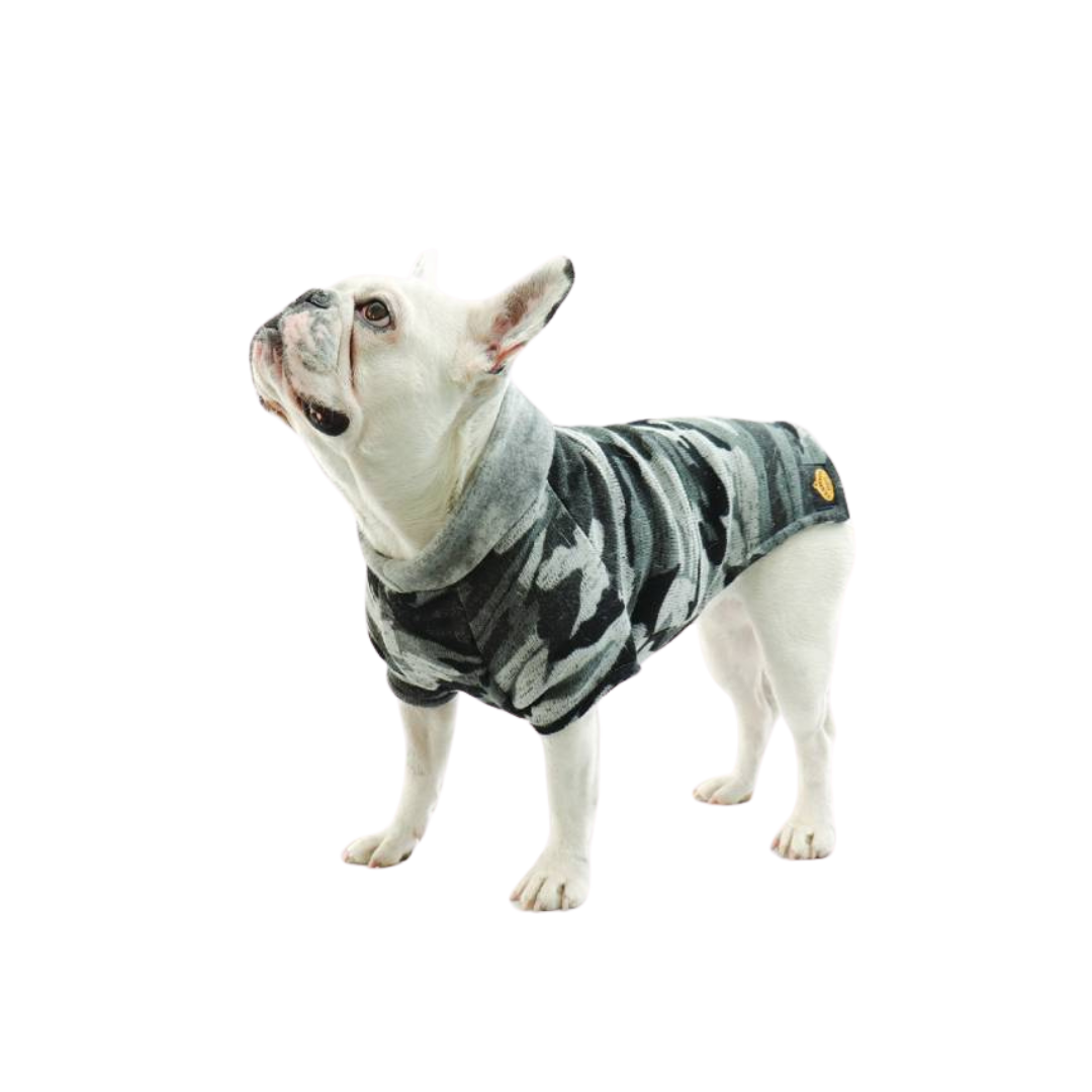 Cappotto-di-maglia-per-bulldog-francesecarlino